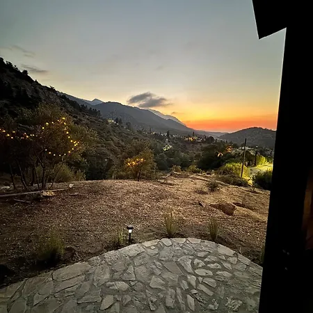 Chardonnay Tiny For Nature Lovers North Cyprus