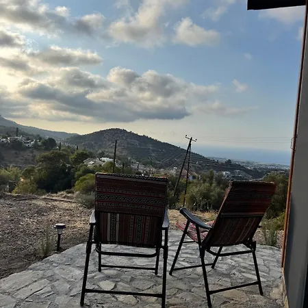 Chardonnay Tiny For Nature Lovers North Cyprus 키레니아