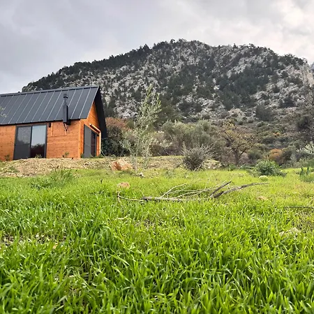 Prázdninový dům Chardonnay Tiny For Nature Lovers North Cyprus
