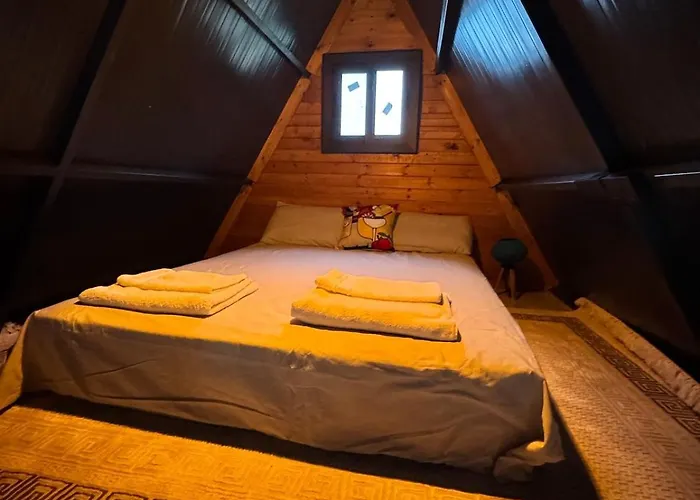 Chardonnay Tiny For Nature Lovers North Cyprus Kyrenia (Northern Cyprus)