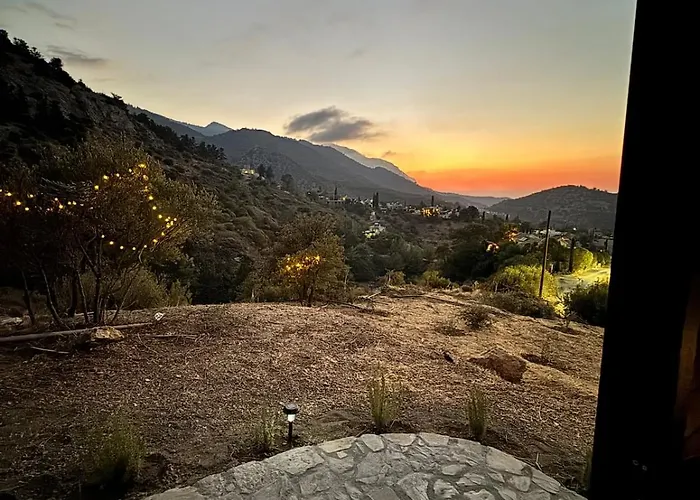 Chardonnay Tiny For Nature Lovers North Cyprus