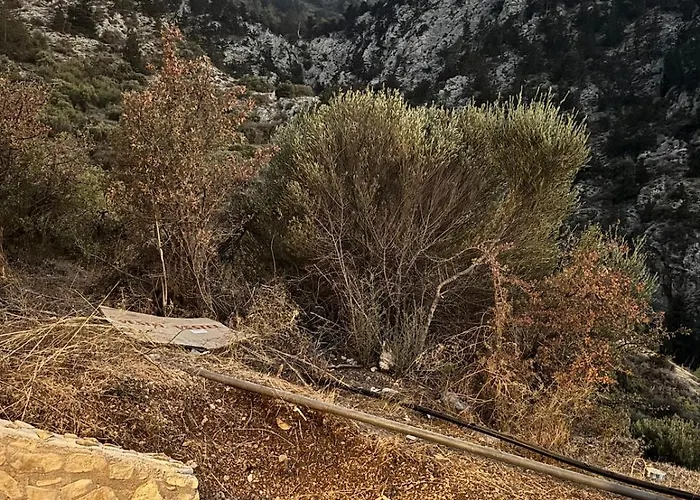 Chardonnay Tiny For Nature Lovers North Cyprus Semesterbostad Kyrenia (Northern Cyprus)