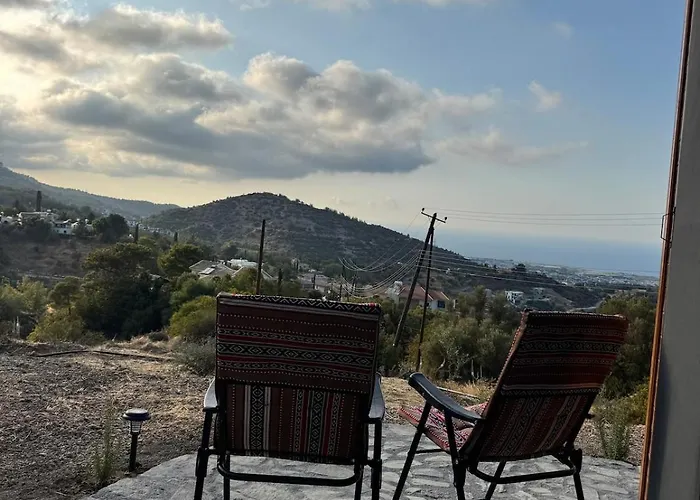 Chardonnay Tiny For Nature Lovers North Cyprus Kyrenia (Northern Cyprus)